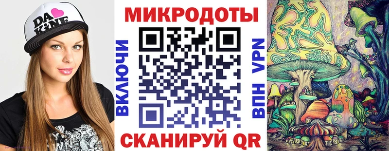 kraken сайт  Каргат  Галлюциногенные грибы ЛСД 